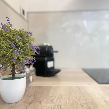 Apartament Mazzini 12, *