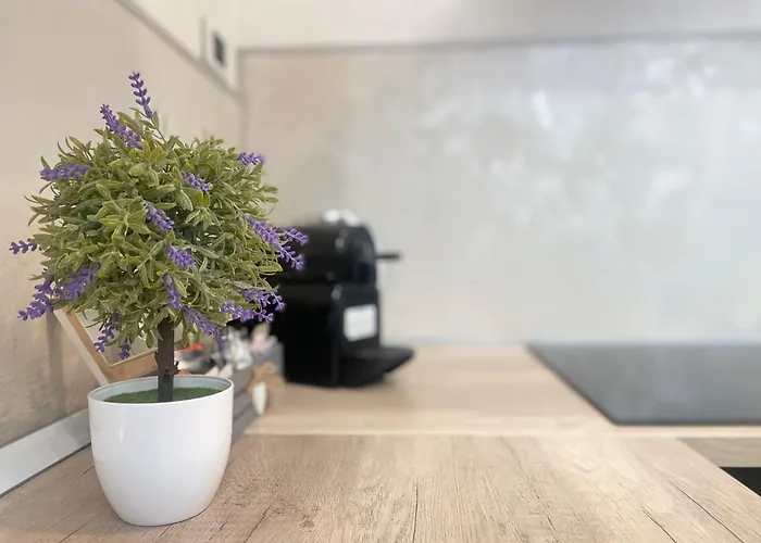 Apartman Mazzini 12, *